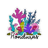 Catracho Mar Sticker by Visit Honduras
