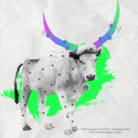 Boci We Are Home GIF by Budapest Pride