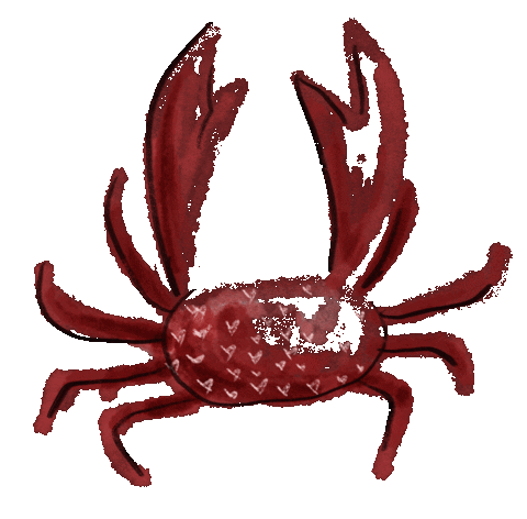 Crab Lobster Sticker by iriskristen