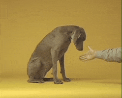 How Are You Hello GIF by Jason Clarke