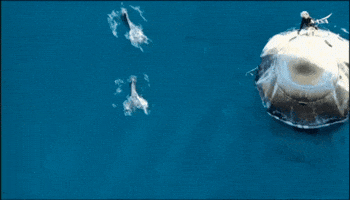 Florida Dive GIF by NASA