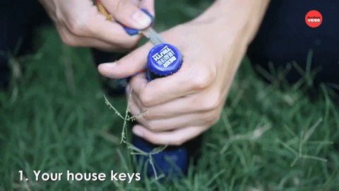 National Beer Day GIF by BuzzFeed