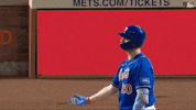 Excited Major League Baseball GIF by New York Mets