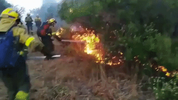 Firefighters Battle Forest Fire in Spain's Monterrei Wine Region
