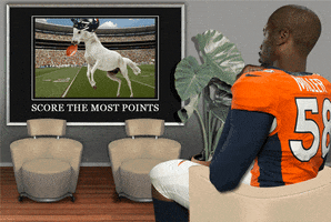 von miller nfl GIF by Old Spice