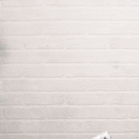 Food Love GIF by Klondike Bar