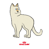 Rcbrasil Sticker by Royal Canin Brasil