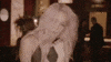 music video GIF by Shakira