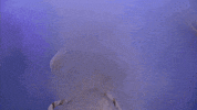 celebrity big brother spaceman GIF by Big Brother UK