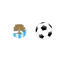 SVAschau fussball tor kreisliga mannschaft Sticker