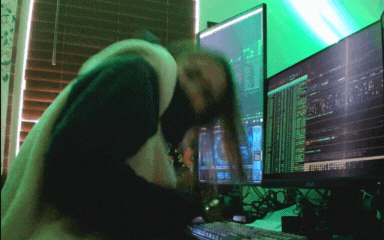 trshpuppy giphyupload computer panda coding GIF