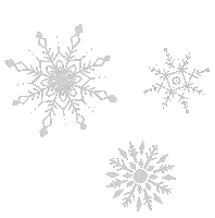 Christmas Spinning Sticker