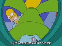 homer simpson episode 13 GIF