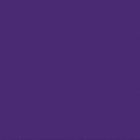 Feminism Seguro GIF