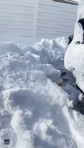 Tireless Toddler Gives Dad a Dig Out After Denver Snow
