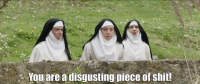 alison brie no GIF by The Little Hours Movie