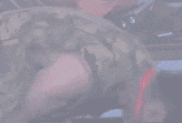 bbc glastonbury2019 GIF by Glastonbury Festival