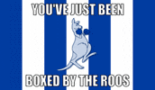 Afl Kangaroos GIF by North Melbourne FC