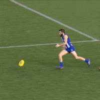 North Melbourne Afl GIF by NMFCOfficial