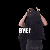 Lecomptoirduvisage bye weekend tgif ciao GIF