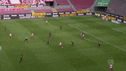 1 Fc Cologne Football GIF by 1. FC Köln