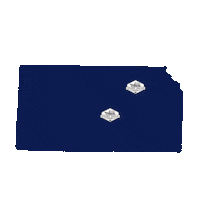 State Kansas Sticker by Flint Hills Moving