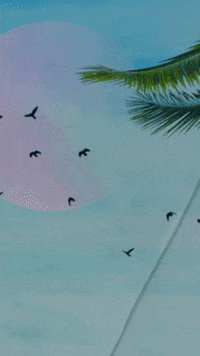 Saco GIF by Soave