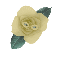 Suspicious Pink Sticker