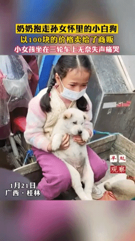 yj_jane giphyupload GIF