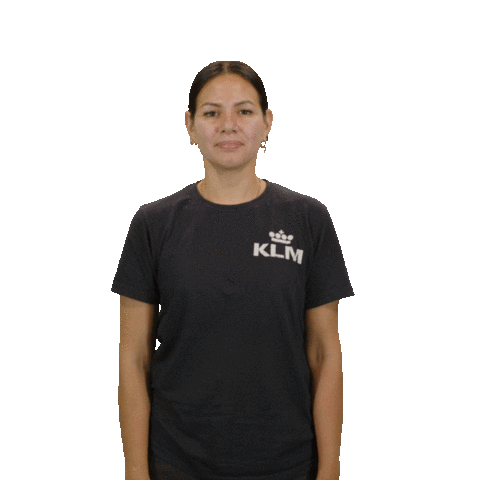 Flying Knock Knock Sticker by KLM