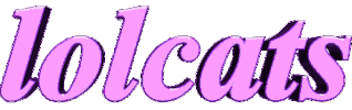 lolcats Sticker by AnimatedText