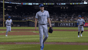 Happy Blue Jays GIF by Toronto Blue Jays