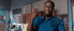 kevin hart GIF