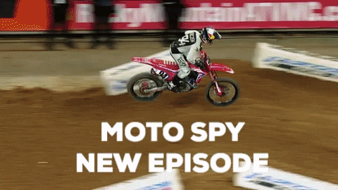 redbull giphygifmaker GIF