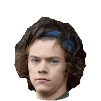 Harry Styles Sticker by imoji
