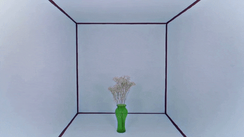 mergerecords giphyupload puppy dogs plants GIF