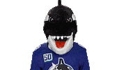 Mascot Cant Look Sticker by Vancouver Canucks