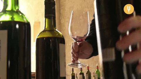 Red Wine Sommelier GIF by CuriosityStream