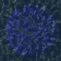 sea ocean GIF by A.M.T.G. G.G.
