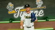 College Baseball Turner GIF by GreenWave