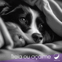 Happy Fun GIF by abana a cauda