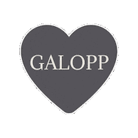 Horses Jockey Sticker by Svensk Galopp