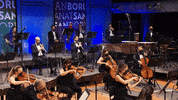 Classical Music Istanbul GIF by BORUSAN SANAT