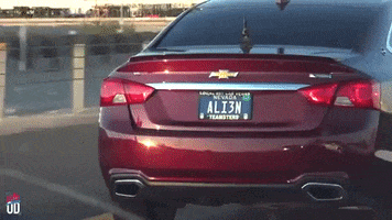 news alien area 51 storm area 51 GIF