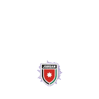World Cup 2026 Football Sticker by All Jordan Youth Commission