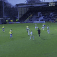 Football Soccer GIF by Yeovil Town