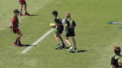 Nyc GIF by Touch Football Australia