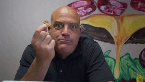 horgejernandez giphygifmaker GIF