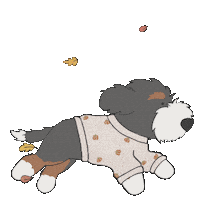 Happy Bernese Mountain Dog Sticker by Berned