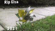Storm Hurricane GIF by Bartini Orlando